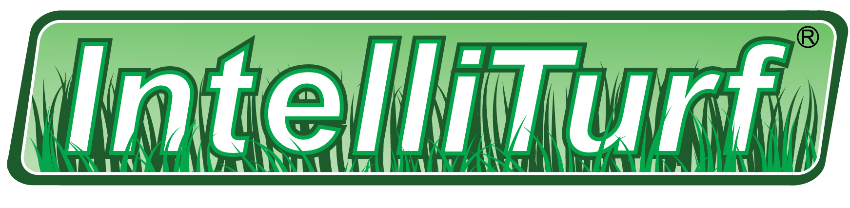 Avatar for IntelliTurf of Dallas